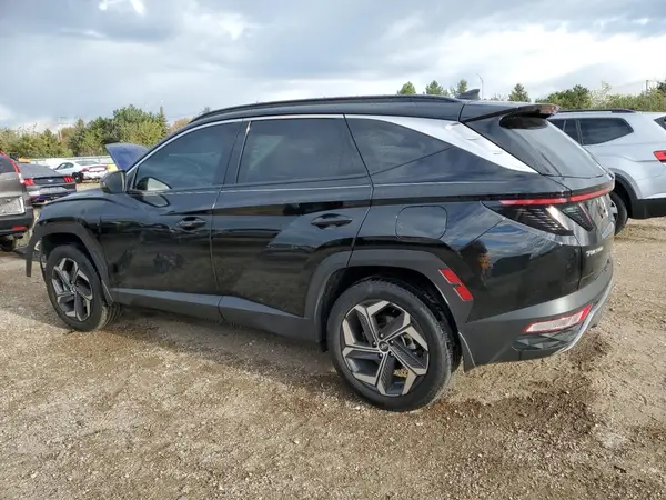 KM8JECD16RU204295 2024 HYUNDAI TUCSON - Image 2