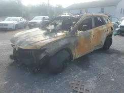 KM8JECD16RU240018 2024 HYUNDAI TUCSON