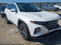 KM8JECD17RU184896 2024 HYUNDAI TUCSON