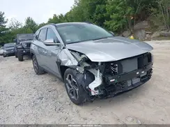 KM8JECD17RU239556 2024 HYUNDAI TUCSON