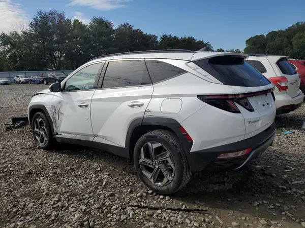 KM8JECD18RU231451 2024 HYUNDAI TUCSON - Image 2