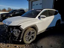 KM8JECD19RU149566 2024 HYUNDAI TUCSON