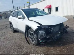 KM8JECD19RU151169 2024 HYUNDAI TUCSON