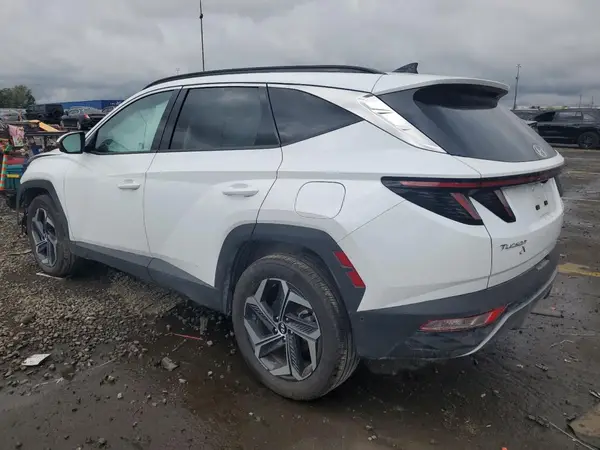 KM8JECD19RU155755 2024 HYUNDAI TUCSON - Image 2