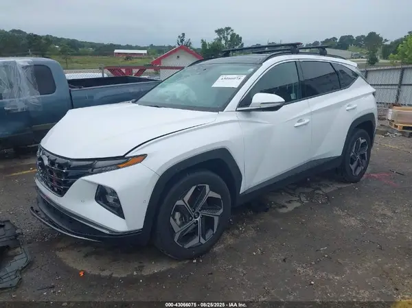KM8JECD19RU180963 2024 HYUNDAI TUCSON - Image 2