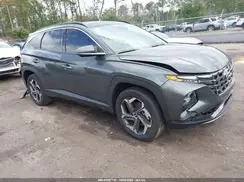 KM8JECD19RU194216 2024 HYUNDAI TUCSON