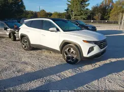 KM8JECD1XRU197559 2024 HYUNDAI TUCSON