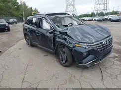 KM8JECD1XRU239339 2024 HYUNDAI TUCSON