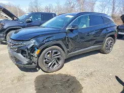 KM8JEDD11SU335002 2025 HYUNDAI TUCSON