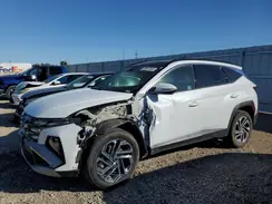 KM8JEDD12SU262626 2025 HYUNDAI TUCSON