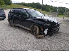 KM8JEDD12SU393829 2025 HYUNDAI TUCSON