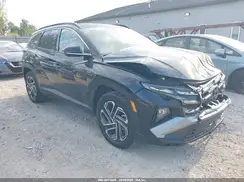 KM8JEDD14TU456737 2026 HYUNDAI TUCSON