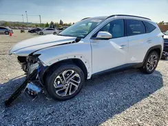 KM8JEDD15SU381240 2025 HYUNDAI TUCSON