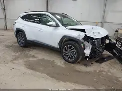 KM8JEDD15SU392822 2025 HYUNDAI TUCSON