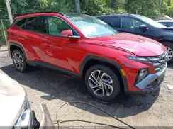 KM8JEDD17SU263531 2025 HYUNDAI TUCSON