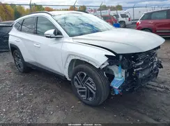 KM8JEDD19SU288818 2025 HYUNDAI TUCSON