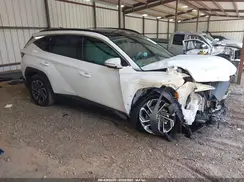 KM8JEDD19SU309070 2025 HYUNDAI TUCSON