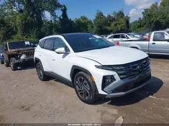 KM8JEDD1XSU345060 2025 HYUNDAI TUCSON