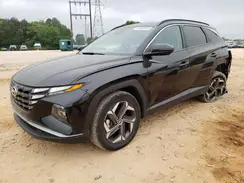 KM8JFCA10PU090096 2023 HYUNDAI TUCSON