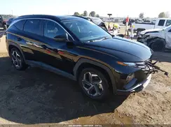 KM8JFCA11PU099910 2023 HYUNDAI TUCSON