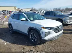 KM8JFCA16PU093455 2023 HYUNDAI TUCSON