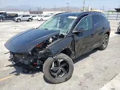 KM8JFCA16PU099028 2023 HYUNDAI TUCSON