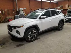 KM8JFCA17PU099331 2023 HYUNDAI TUCSON