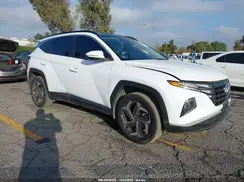 KM8JFCA17PU104981 2023 HYUNDAI TUCSON