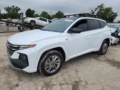 KM8JFCD10RU181951 2024 HYUNDAI TUCSON