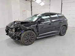 KM8JFCDE8RU294436 2024 HYUNDAI TUCSON