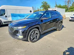 KM8JFDD25RU234576 2024 HYUNDAI TUCSON