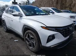 KM8JFDD29RU192879 2024 HYUNDAI TUCSON