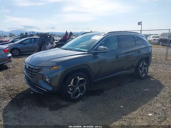 KM8JFDD2XRU205591 2024 HYUNDAI TUCSON - Image 2