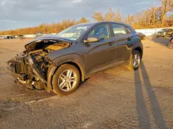 KM8K1CAA6KU366499 2019 HYUNDAI KONA