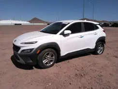 KM8K22AB5PU950593 2023 HYUNDAI KONA