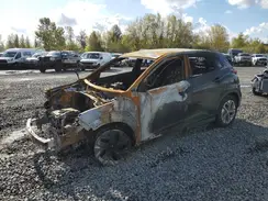 KM8K23AG5PU191977 2023 HYUNDAI KONA