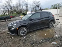 KM8K23AGXPU191490 2023 HYUNDAI KONA