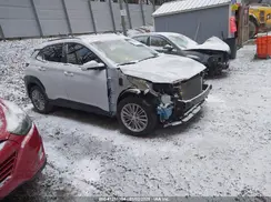 KM8K2CAA0KU371856 2019 HYUNDAI KONA