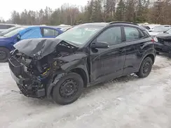 KM8K2CAA5LU561184 2020 HYUNDAI KONA