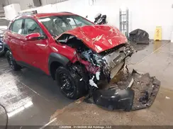 KM8K2CAA7MU665273 2021 HYUNDAI KONA
