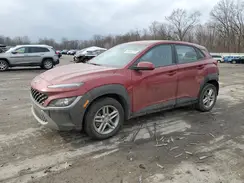 KM8K2CAB7PU062224 2023 HYUNDAI KONA