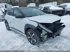 KM8K3CA58LU524663 2020 HYUNDAI KONA