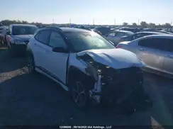 KM8K3CA59LU408890 2020 HYUNDAI KONA