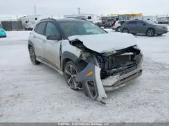 KM8K3CA59LU481239 2020 HYUNDAI KONA