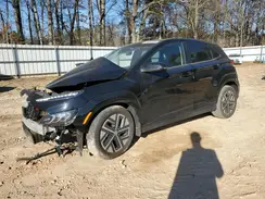 KM8K53AG1PU161527 2023 HYUNDAI KONA