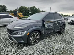 KM8K5CA35PU008260 2023 HYUNDAI KONA