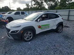 KM8K62AB0PU049426 2023 HYUNDAI KONA