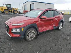 KM8K6CAA1KU334156 2019 HYUNDAI KONA