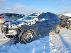 KM8K6CAA5LU575896 2020 HYUNDAI KONA