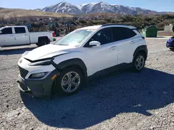 KM8K6CAB0PU947319 2023 HYUNDAI KONA